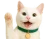 aaaa
